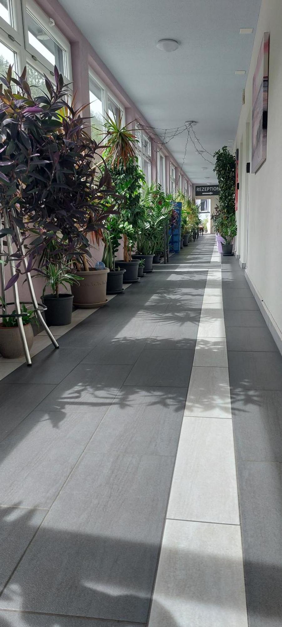 Hotel Belp Bern Airport Free Parking Εξωτερικό φωτογραφία