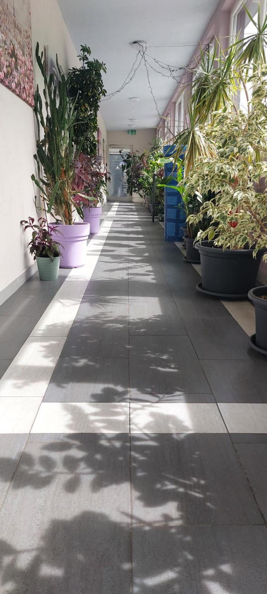 Hotel Belp Bern Airport Free Parking Εξωτερικό φωτογραφία