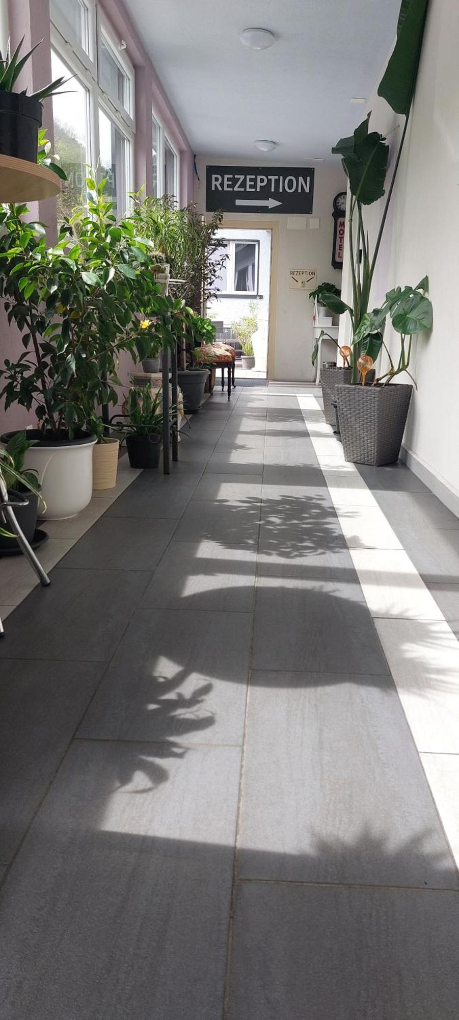 Hotel Belp Bern Airport Free Parking Εξωτερικό φωτογραφία